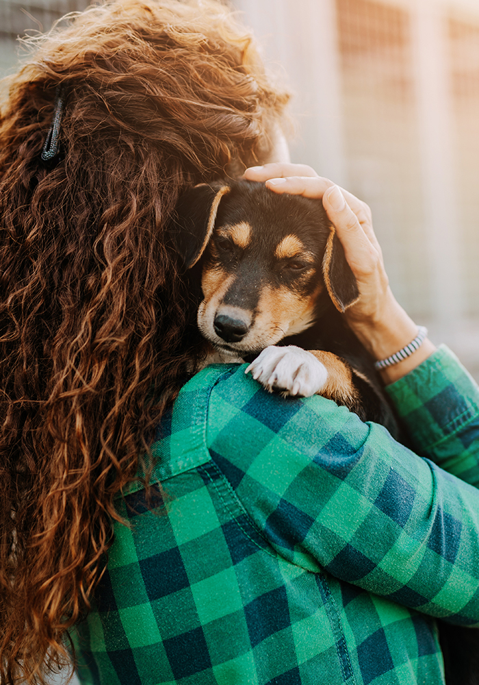 New-Rescue-Initial-Consult---Raise-the-Woof